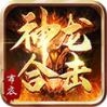 布衣神龙合击